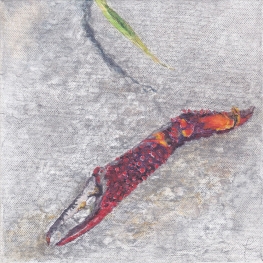 Gefundenes Fressen II