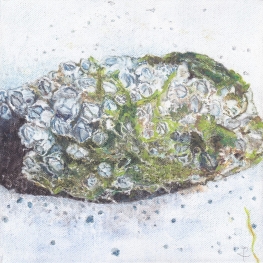 Gefundenes Fressen I