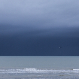 LONELY SEAGULL (Marco Titucci)