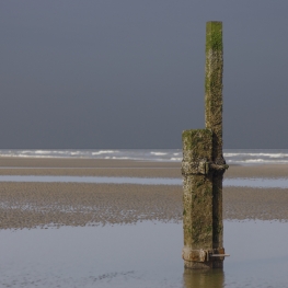 STRANDPAAL (Marco Titucci) 