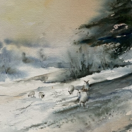 Schaapjes op het droge