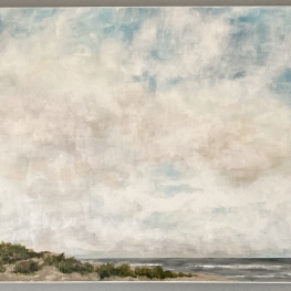 Klaprozen in de duinen