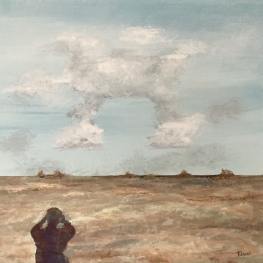 De Hoge Blekker (de man die de wolken bestudeert)