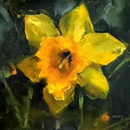 Narcis