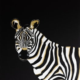 nr 12 Zebra