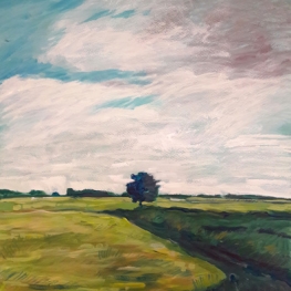 De Beemster 2