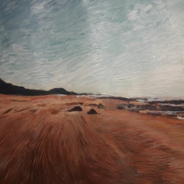 Strand en bos