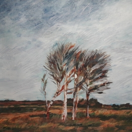 Texels landschap met berkenboompjes