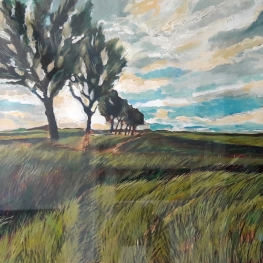 Noordhollands landschap met bomen