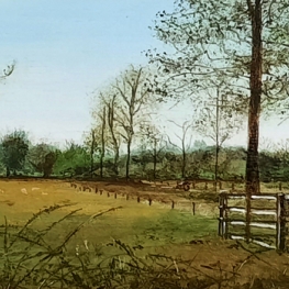 Landschap aan de Regge
