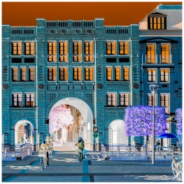 Helmond - Brandevoort 46