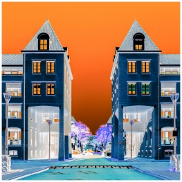 Helmond - Brandevoort 50