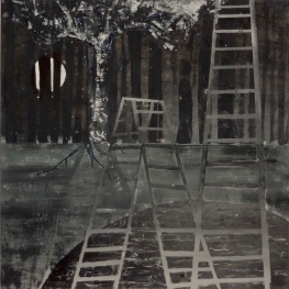 Nacht maan en ladder