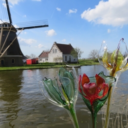 Glas geblazen Midden Delfland bloemen
