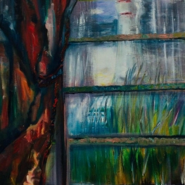 Looking out my window