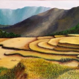 Sawah's