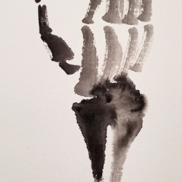 Handbones 2