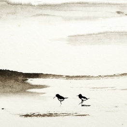 foerageren  (pietjes)