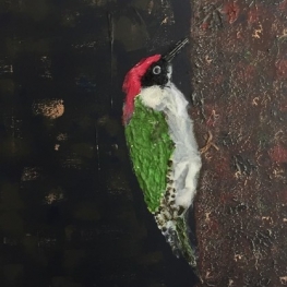 Picus Viridus