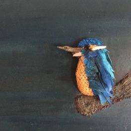 Alcedo Atthis