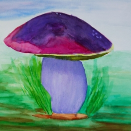 Paddenstoelen 1