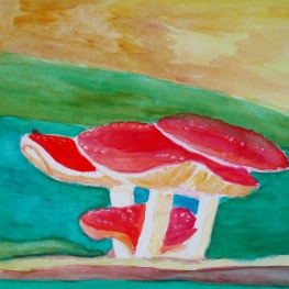 Paddenstoelen 2