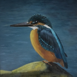 The King Kingfisher