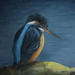 The Queen Kingfisher