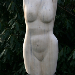 Torso