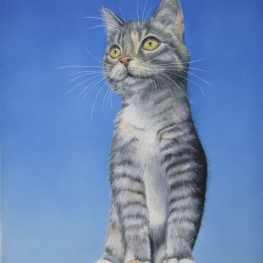 Luna, #1 van een tweeluik