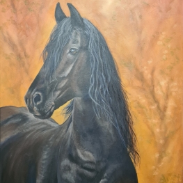 Friese merrie