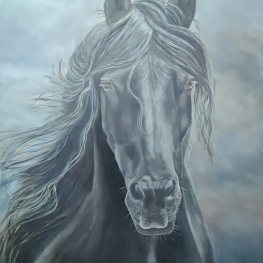 Fries paard