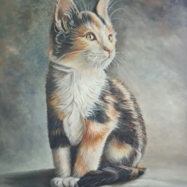Lapjeskat