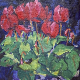 Cyclamen