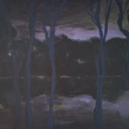 Twilight