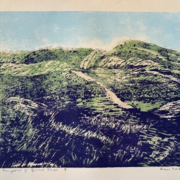 Duingebied bij Egmond-Binnen