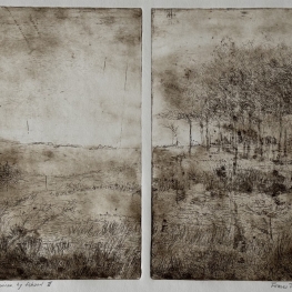 Duinen bij Schoorl II