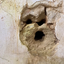 Mirror Mirror on the Wall