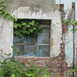 “Venster 2”