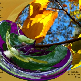 Verbinding