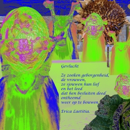 Gevlucht