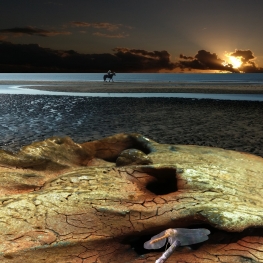 Riding along the shore