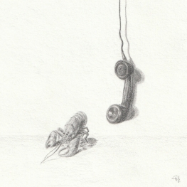 De oproep van Dali
