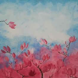 Magnolia Lijnen