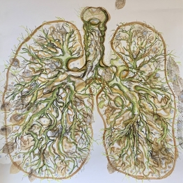 De lucht zoekt wegen