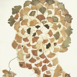 Ginkgo biloba profiel