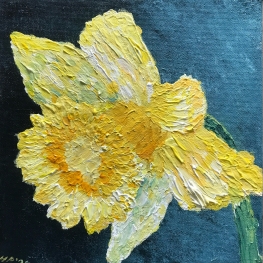 Narcis