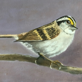 Vogeltje op tak