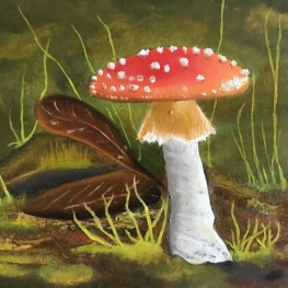 Vliegenzwam Paddenstoel in bos
