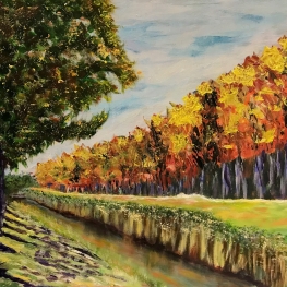 Berken in Herfstkleuren 